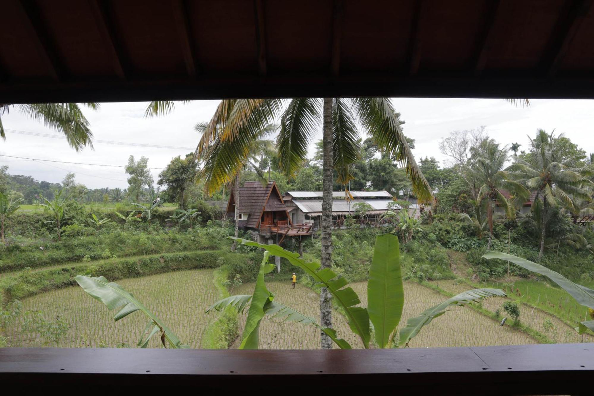 Nea Cottage Lombok Tetebatu Exterior foto