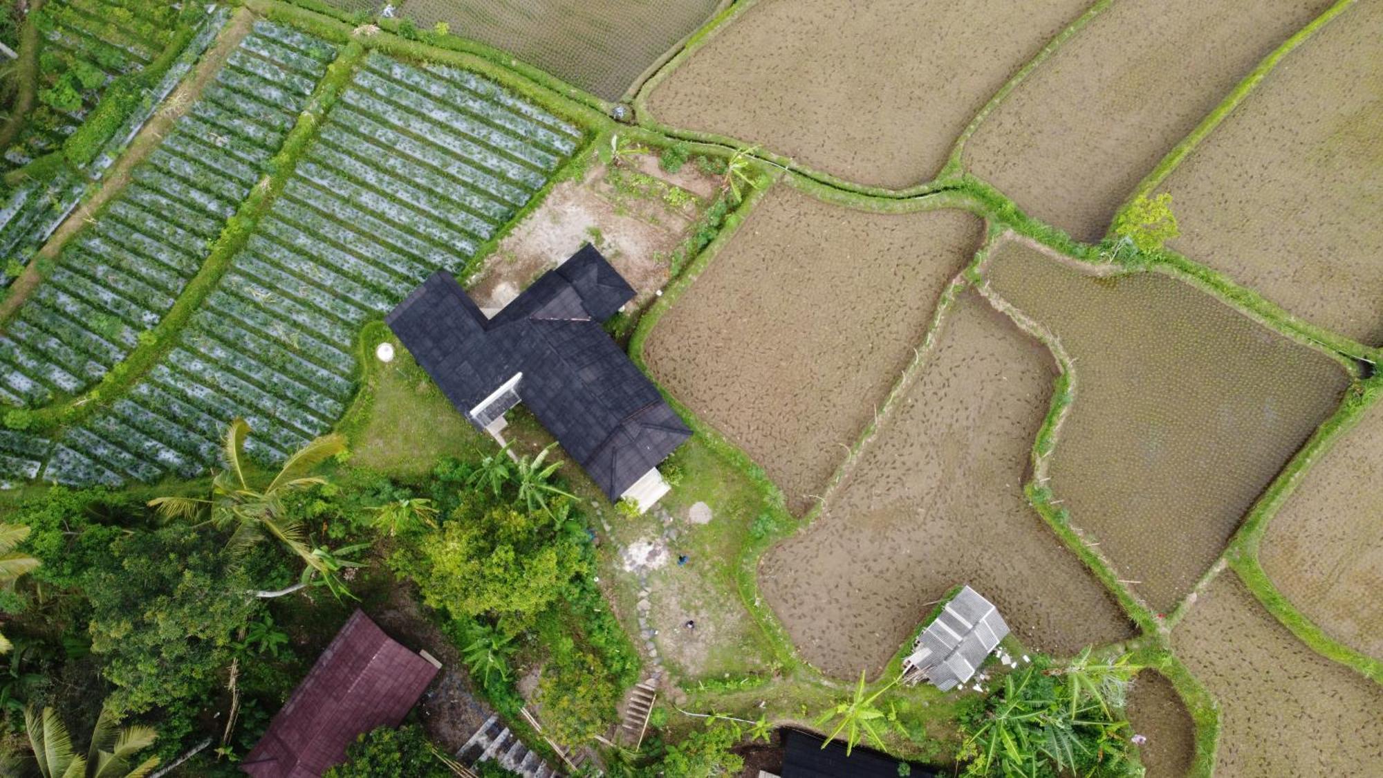Nea Cottage Lombok Tetebatu Exterior foto