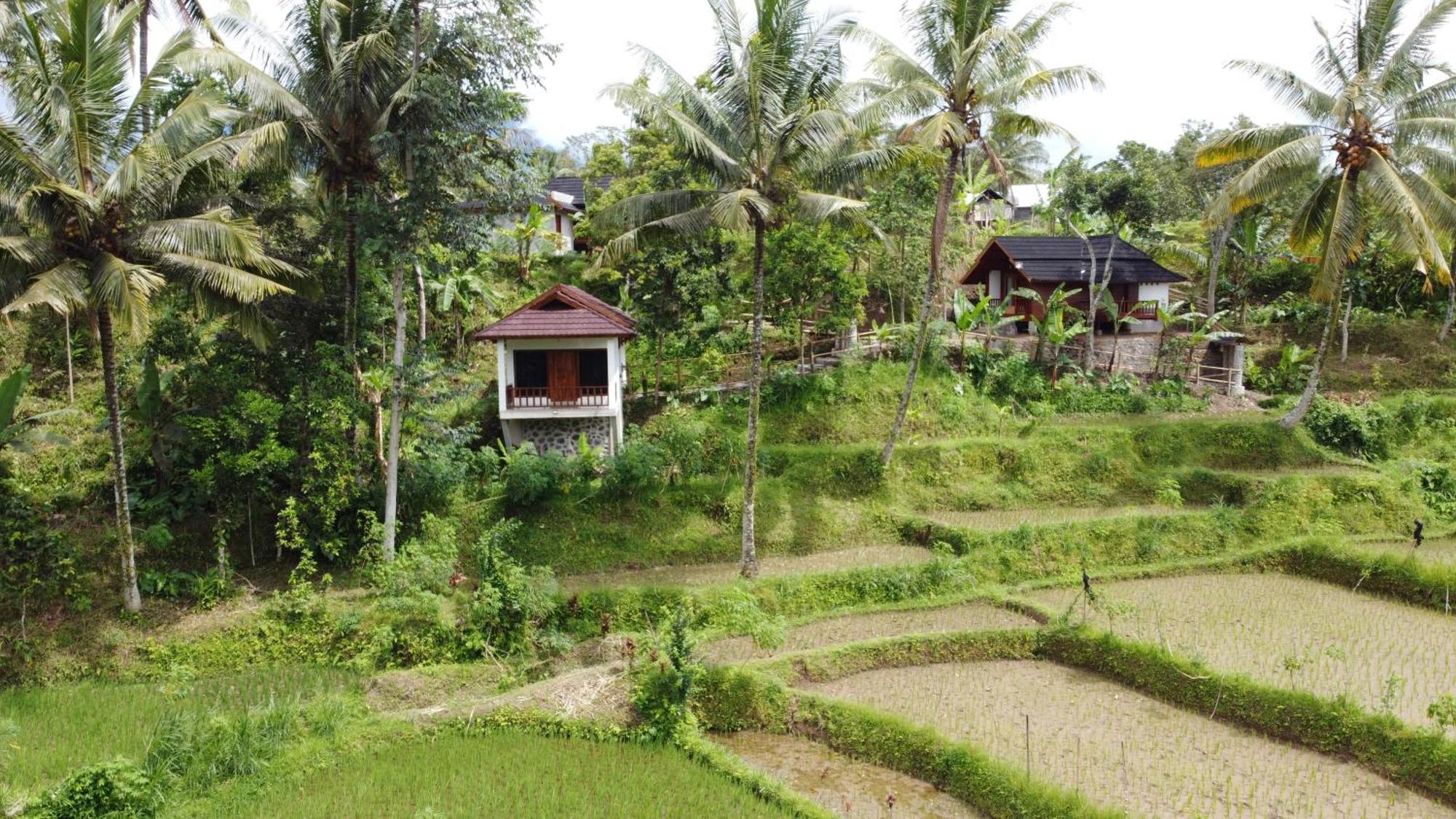 Nea Cottage Lombok Tetebatu Exterior foto