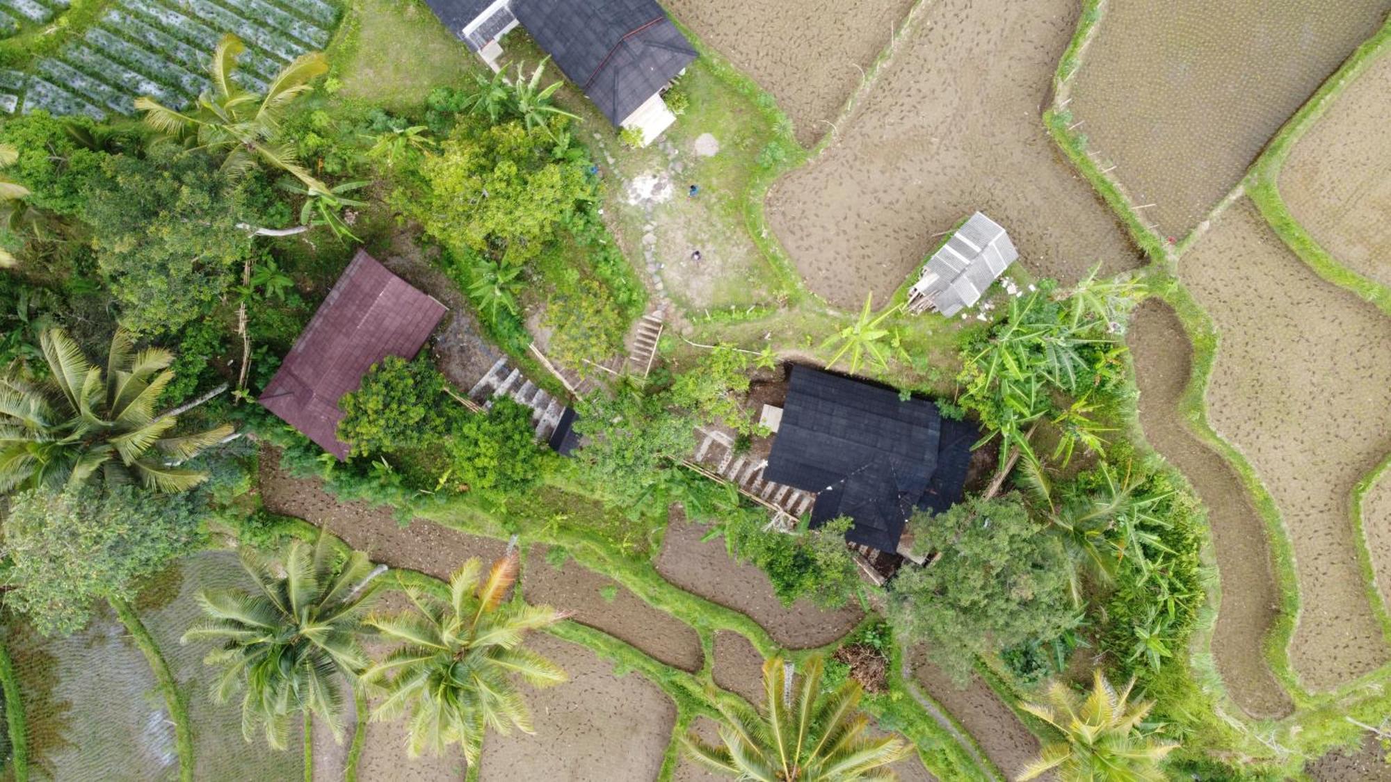 Nea Cottage Lombok Tetebatu Exterior foto