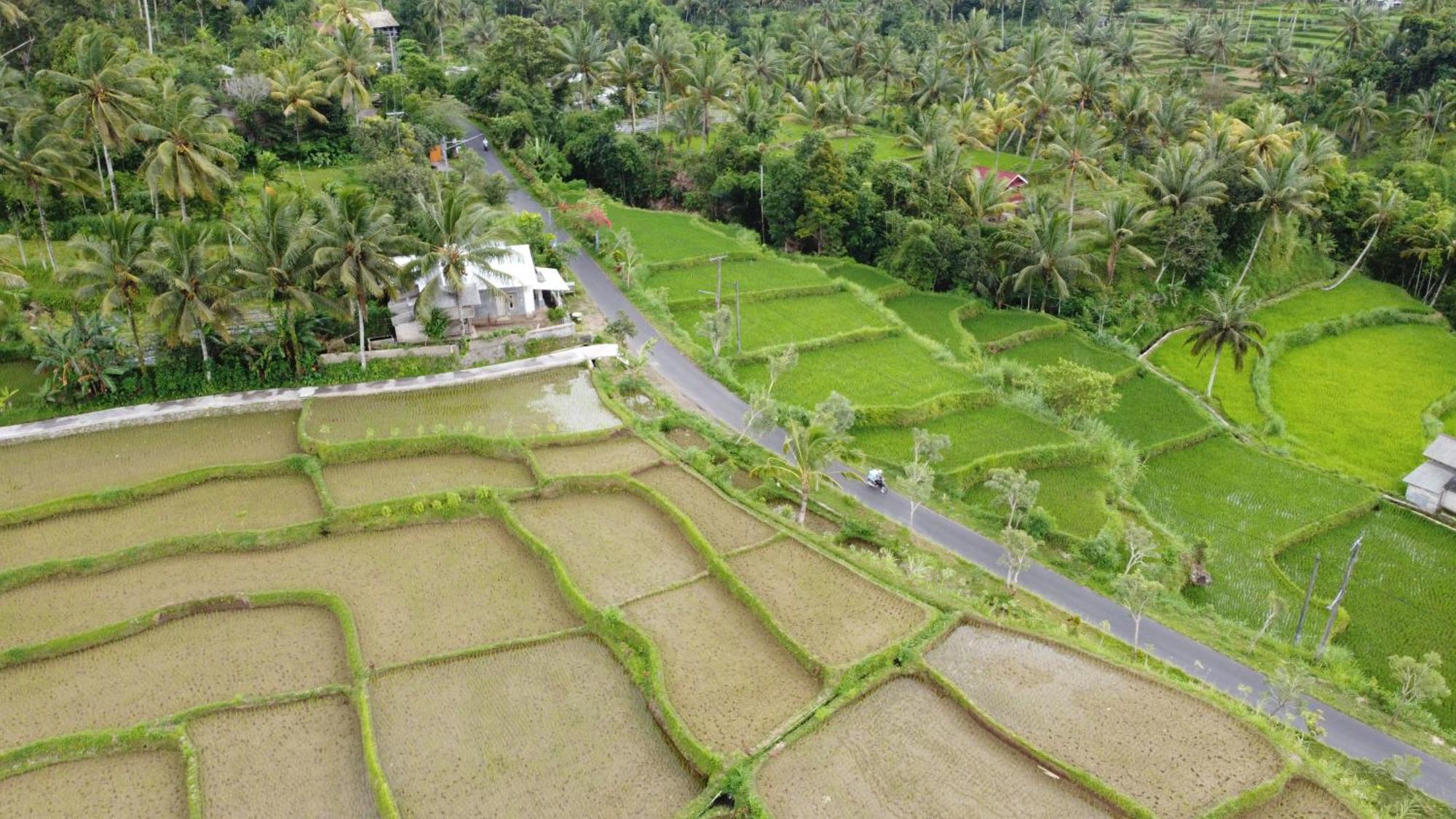 Nea Cottage Lombok Tetebatu Exterior foto