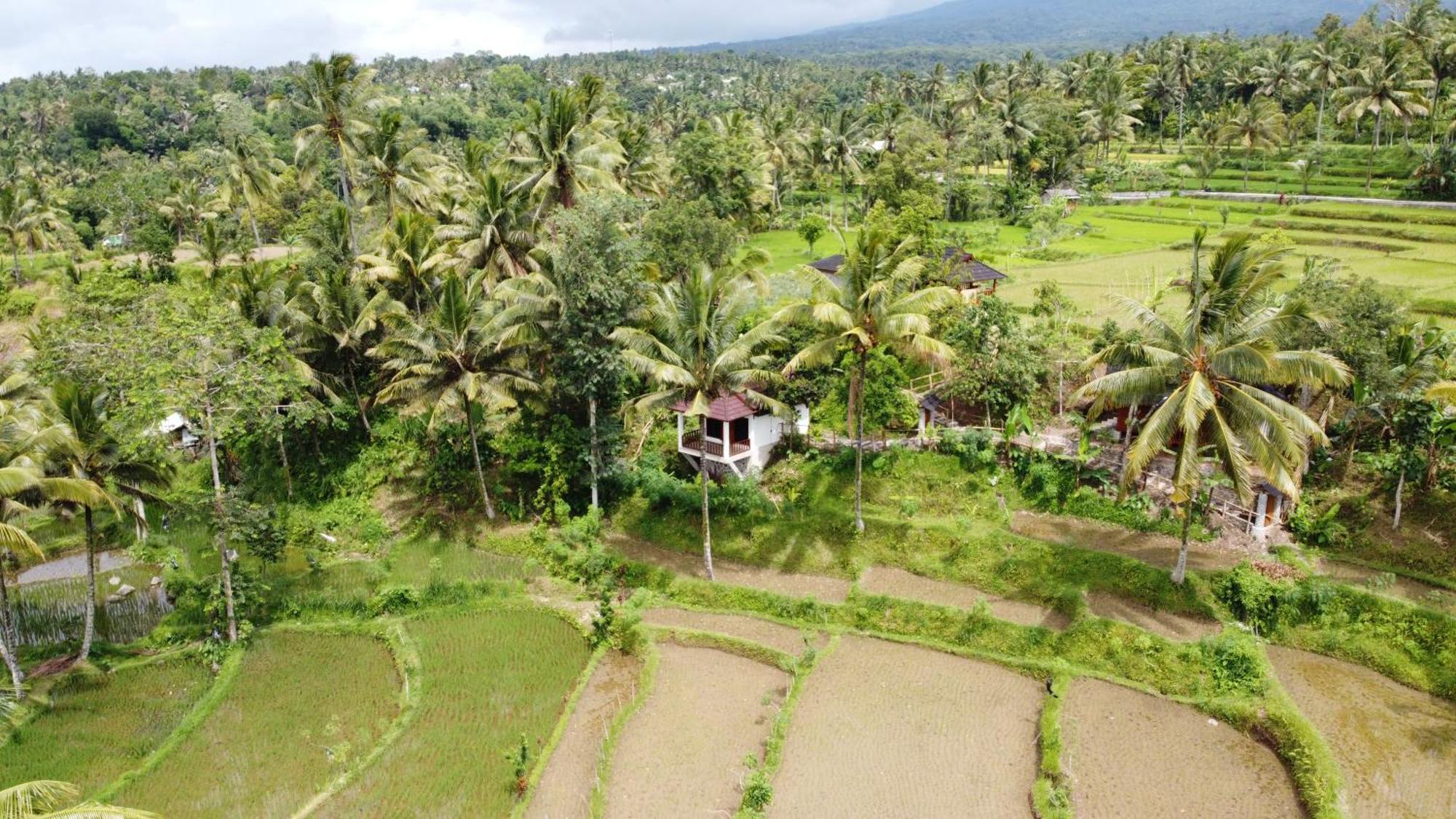 Nea Cottage Lombok Tetebatu Exterior foto