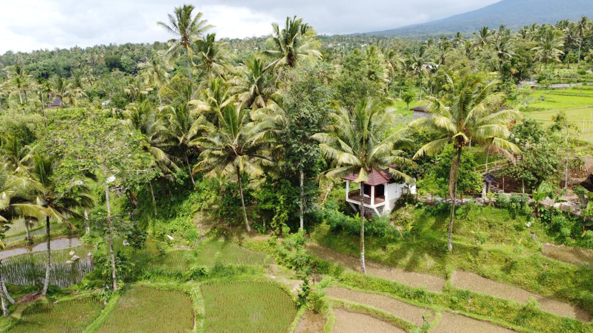Nea Cottage Lombok Tetebatu Exterior foto