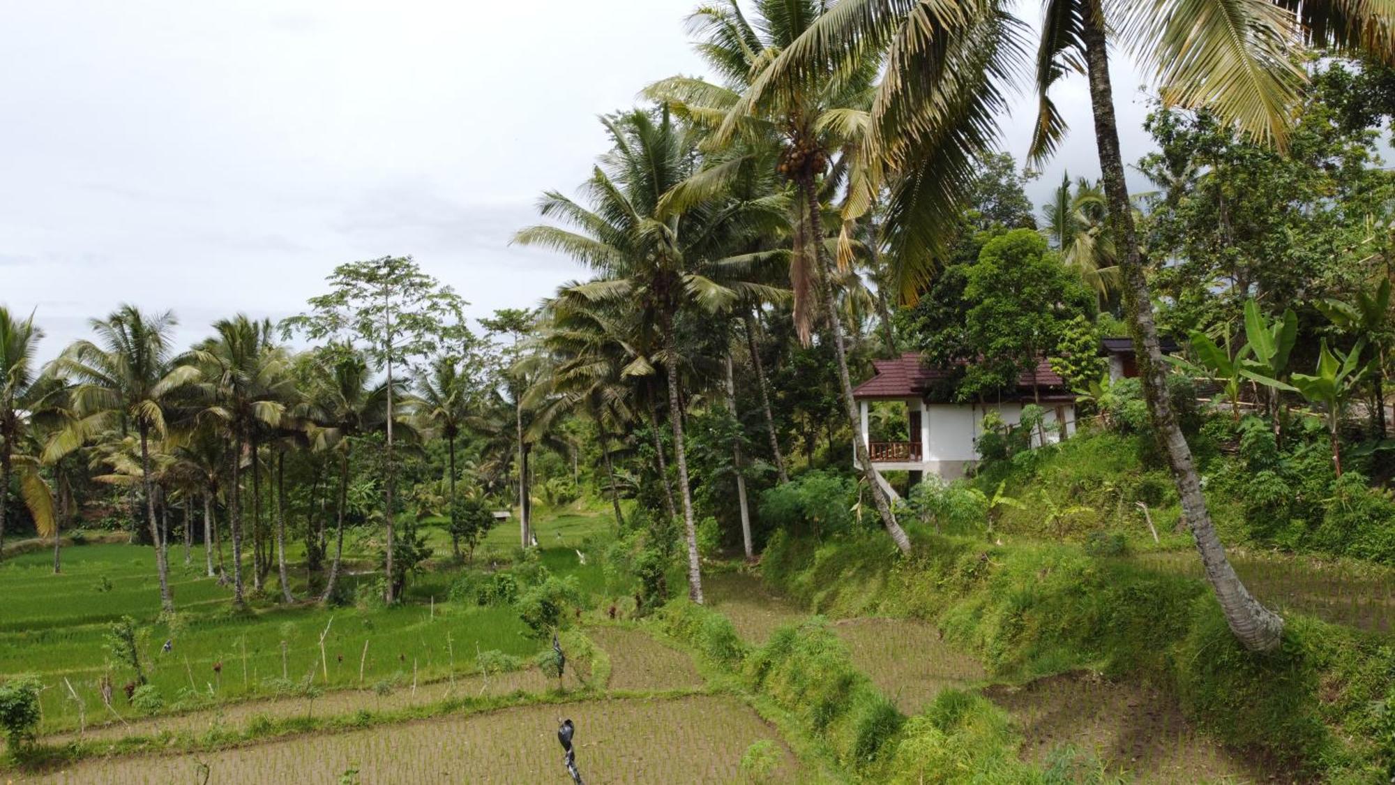 Nea Cottage Lombok Tetebatu Exterior foto