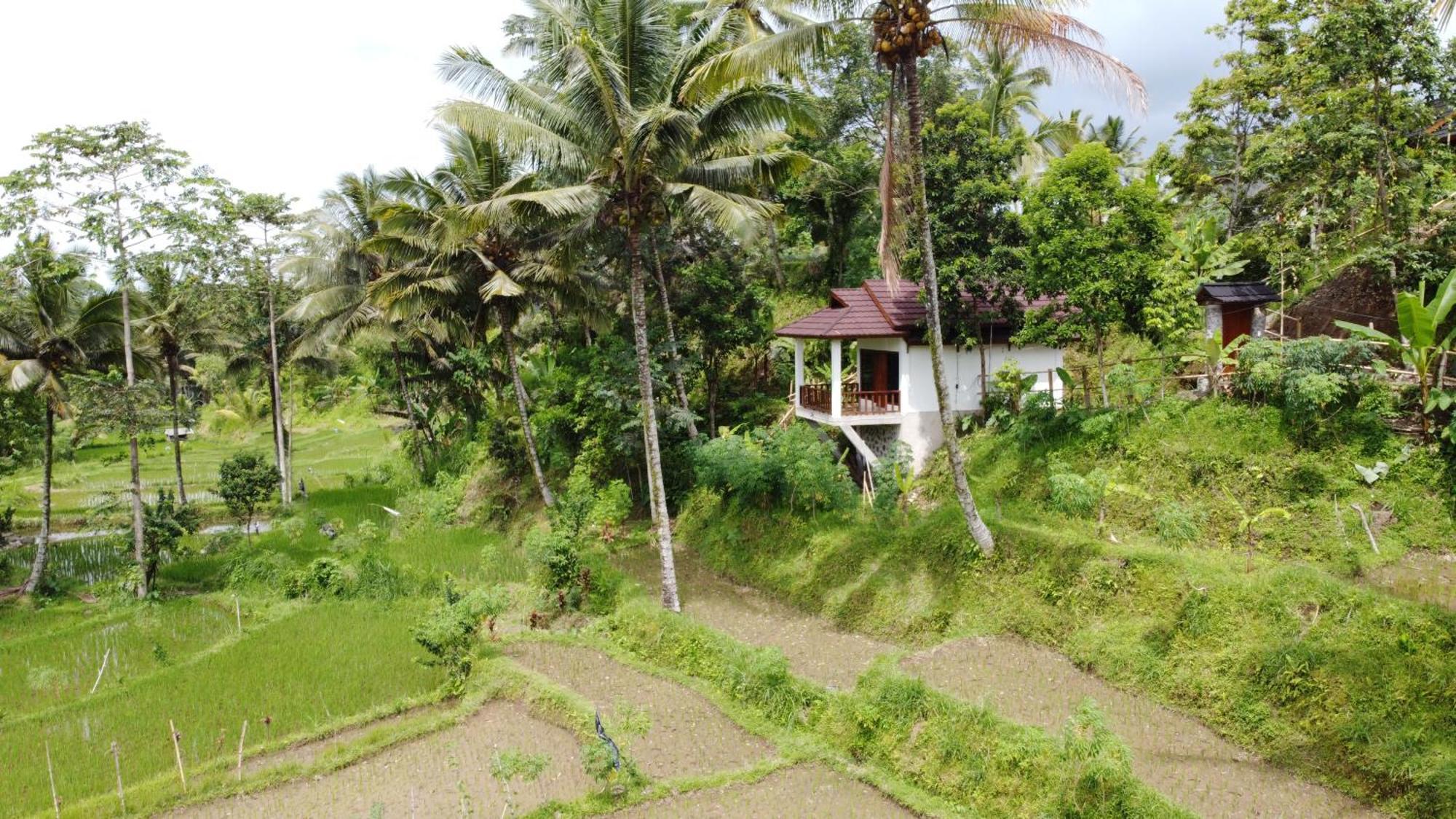Nea Cottage Lombok Tetebatu Exterior foto