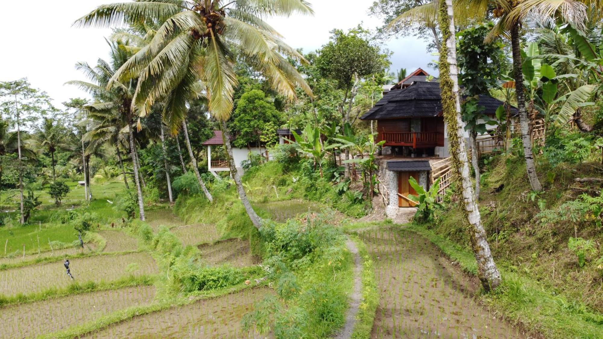 Nea Cottage Lombok Tetebatu Exterior foto