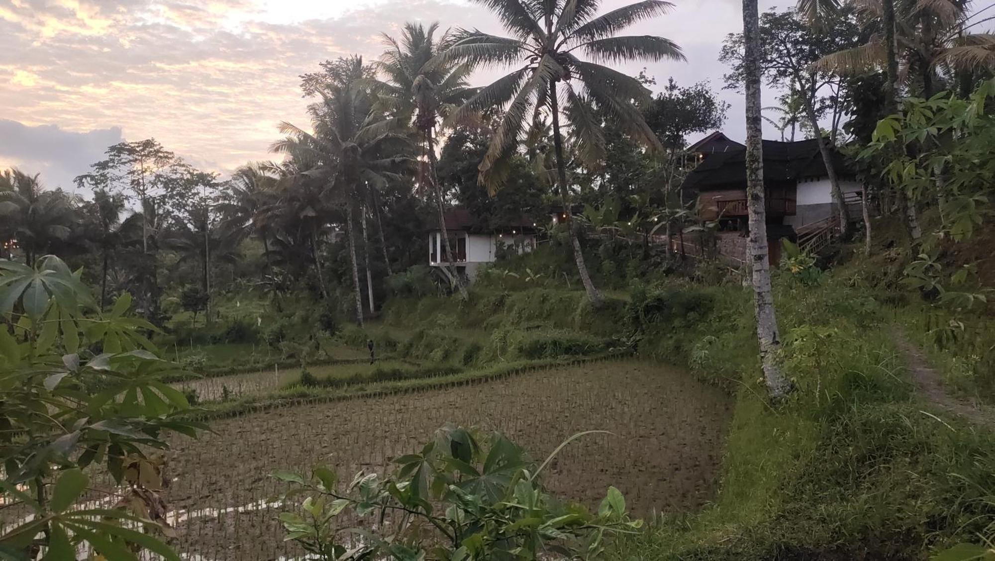 Nea Cottage Lombok Tetebatu Exterior foto