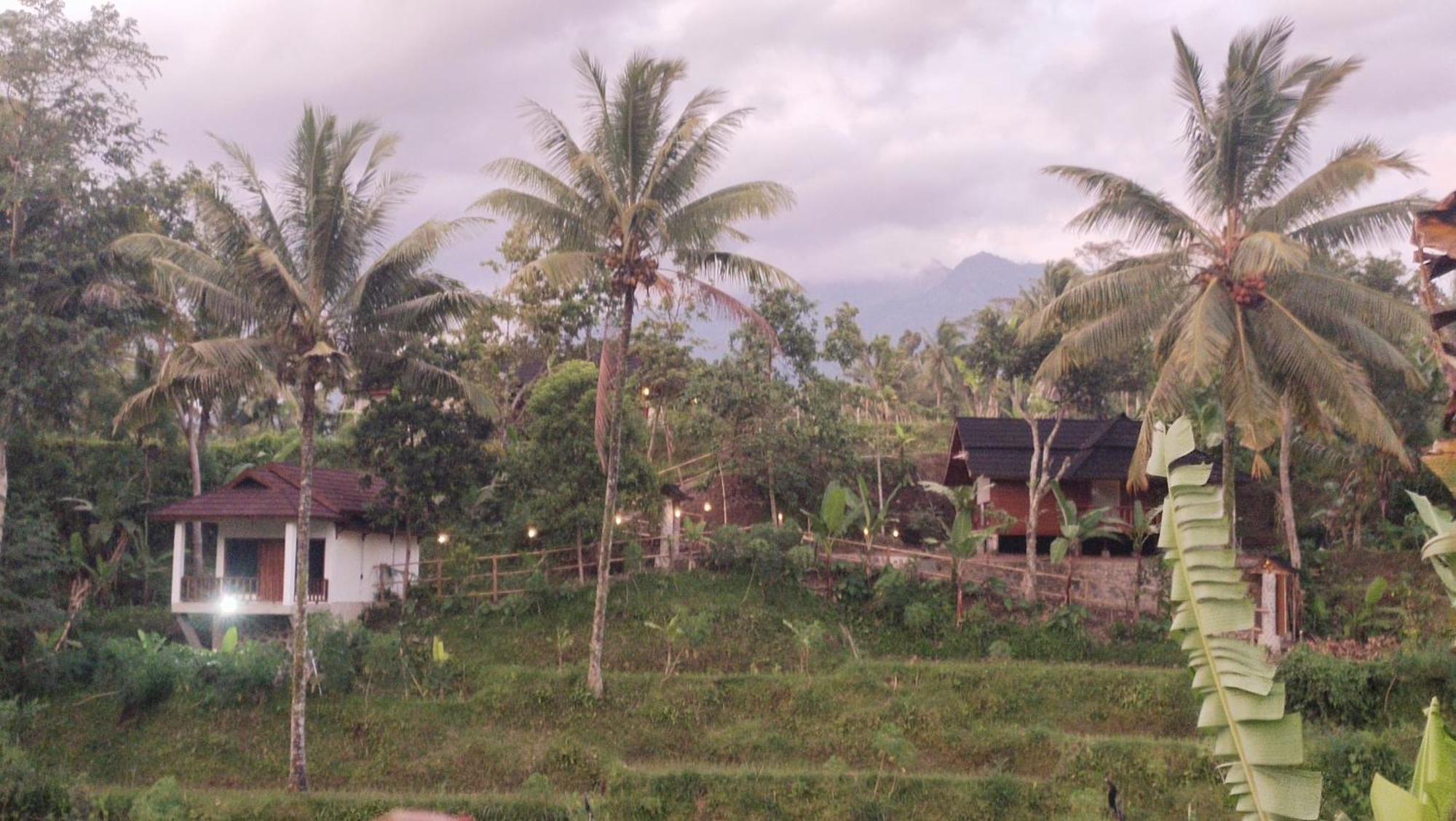 Nea Cottage Lombok Tetebatu Exterior foto