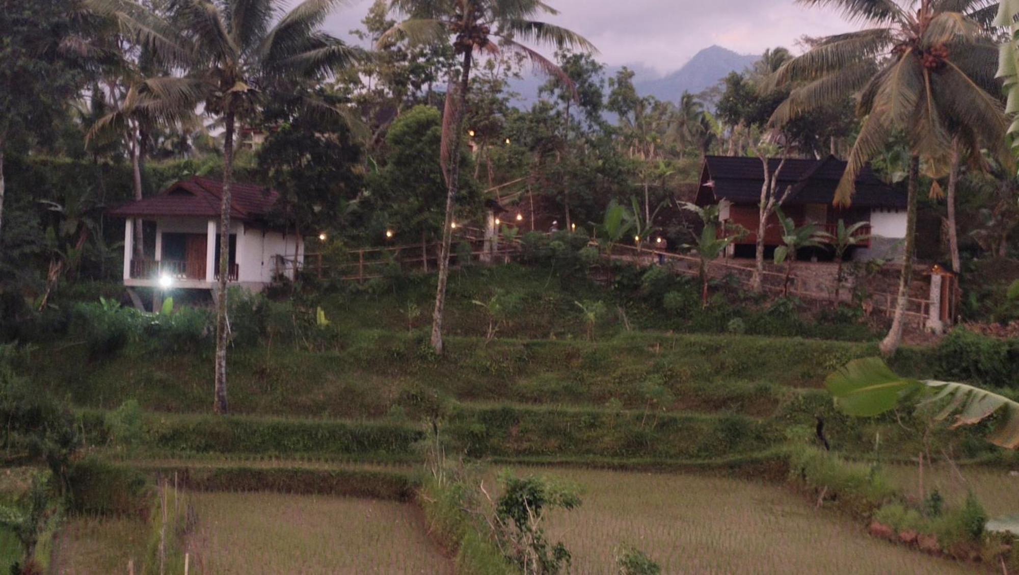 Nea Cottage Lombok Tetebatu Exterior foto