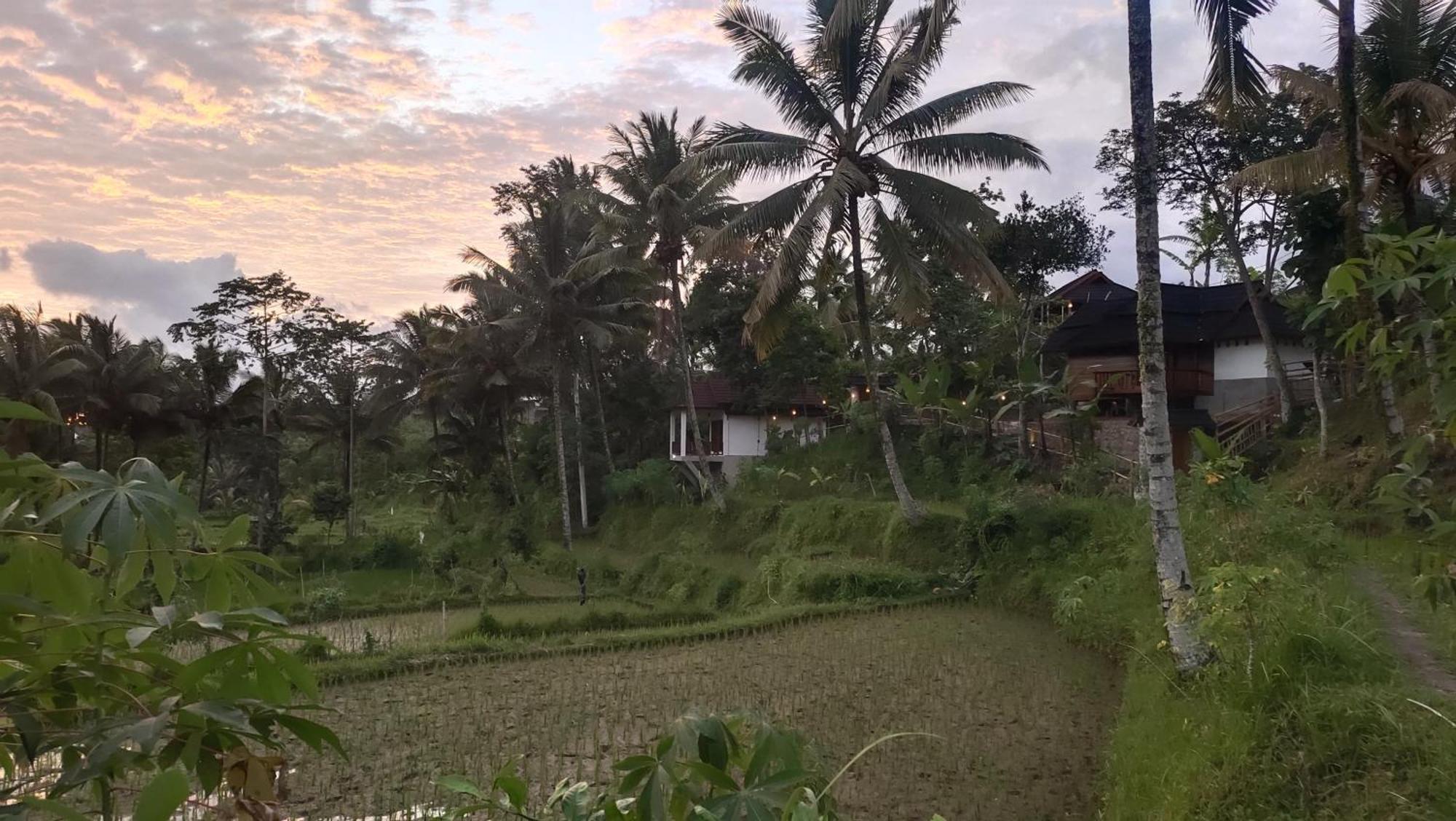 Nea Cottage Lombok Tetebatu Exterior foto